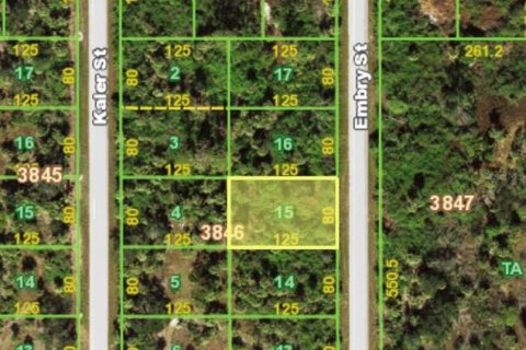 Land in Port Charlotte, Florida № 2166079 - photo 3