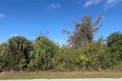 Land in Port Charlotte, Florida № 2166079 - photo 2