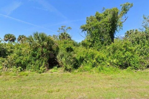 Land in Port Charlotte, Florida № 2166079