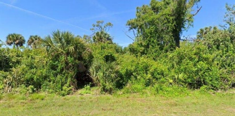 Land in Port Charlotte, Florida № 2166079