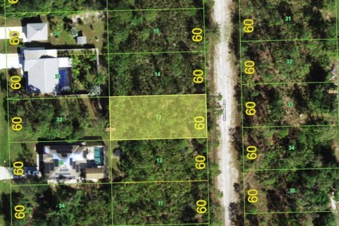 Land in Punta Gorda, Florida № 2235206 - photo 2