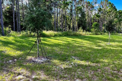 Villa ou maison à louer à Howey-in-the-Hills, Floride: 5 chambres, 273.6 m2 № 2406430 - photo 22