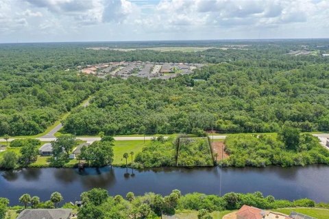 Land in Port Charlotte, Florida № 533011 - photo 9