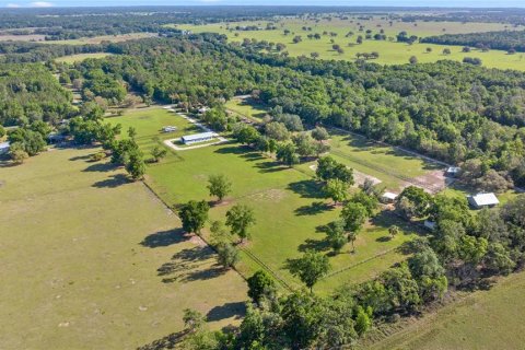 Land in Dunnellon, Florida № 1631723 - photo 4
