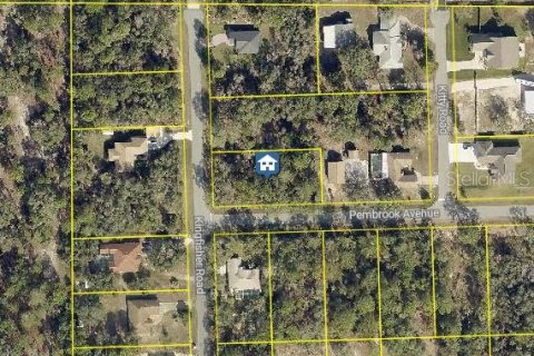 Land in Weeki Wachee, Florida № 1868859 - photo 1