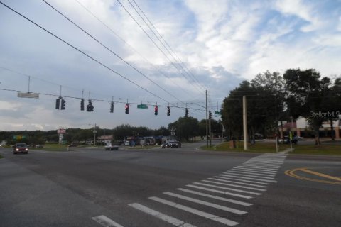 Land in Apopka, Florida № 1827292 - photo 5