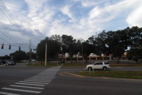 Land in Apopka, Florida № 1827292 - photo 6