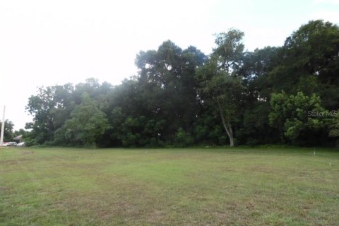 Land in Apopka, Florida № 1827292 - photo 2