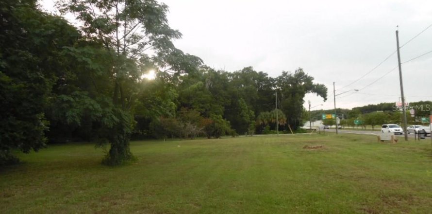 Terrain à Apopka, Floride № 1827292