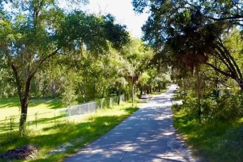 Terrain à vendre à Ocala, Floride № 2226528 - photo 6