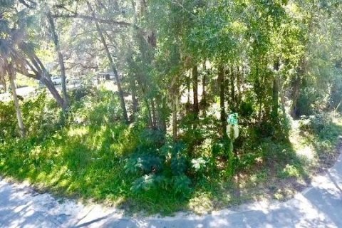 Terreno en Ocala, Florida № 2226528