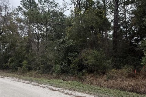 Land in DeLand, Florida № 2201001