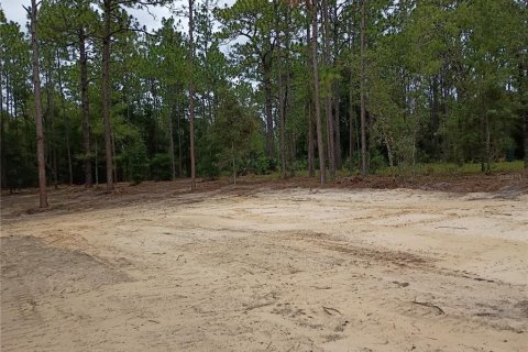 Land in Ocala, Florida № 2376829 - photo 5
