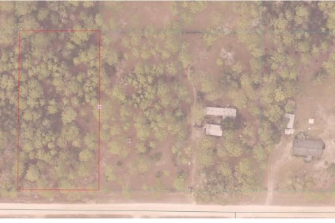 Land in Ocala, Florida № 2376829 - photo 7