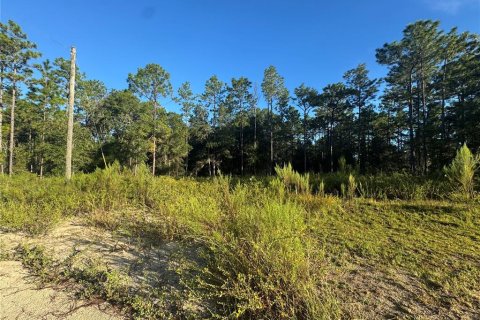 Land in Ocala, Florida № 2376829