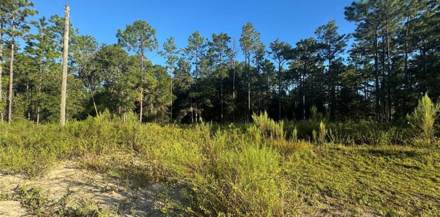 Land in Ocala, Florida № 2376829