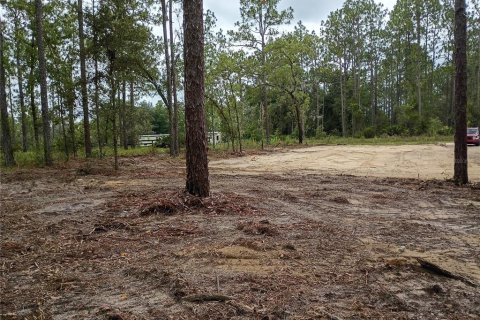 Land in Ocala, Florida № 2376829 - photo 6