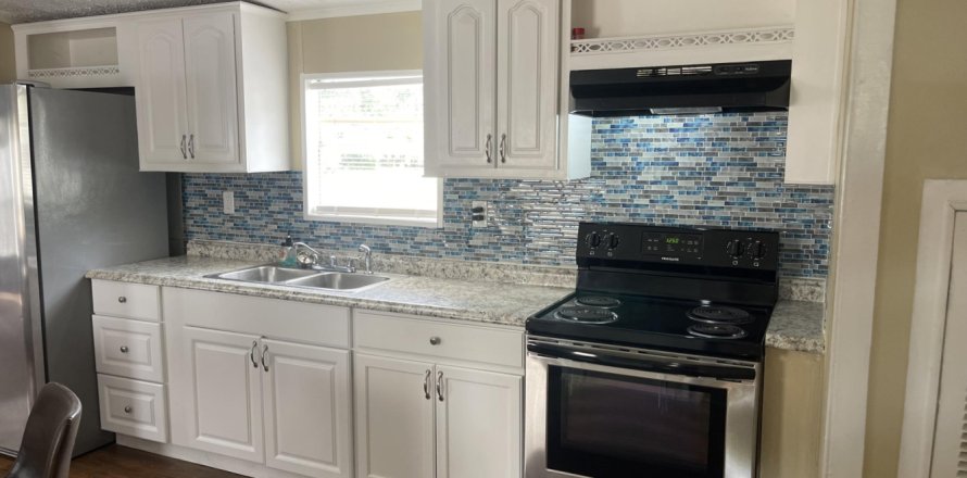 Villa ou maison à Jacksonville, Floride 2 chambres № 771338