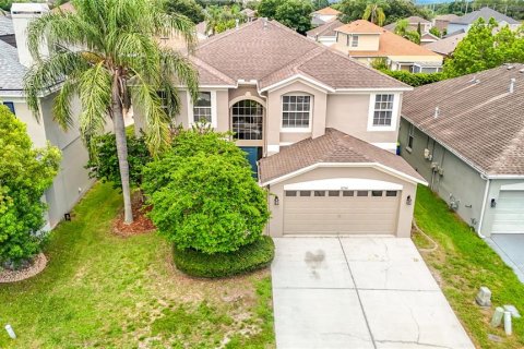Villa ou maison à Trinity, Floride 5 chambres, 324.97 m2 № 2227715