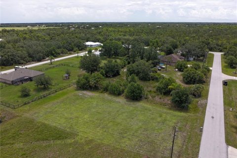 Land in Punta Gorda, Florida № 2214192 - photo 12