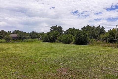 Land in Punta Gorda, Florida № 2214192 - photo 9