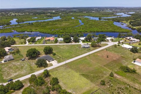 Land in Punta Gorda, Florida № 2214192 - photo 10