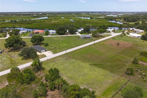 Land in Punta Gorda, Florida № 2214192 - photo 7