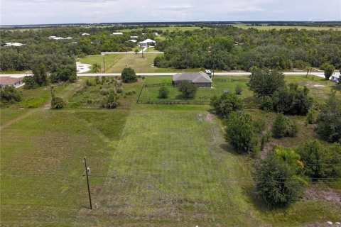 Land in Punta Gorda, Florida № 2214192 - photo 11