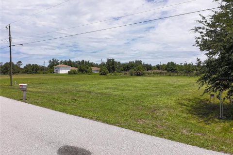 Land in Punta Gorda, Florida № 2214192 - photo 17