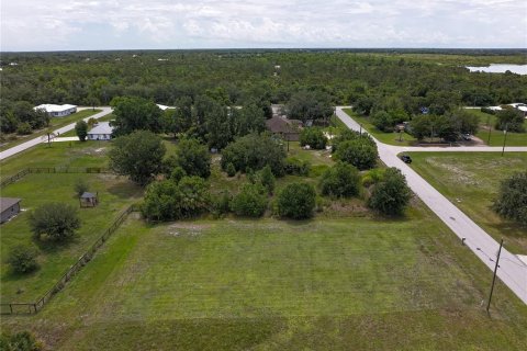 Land in Punta Gorda, Florida № 2214192 - photo 5
