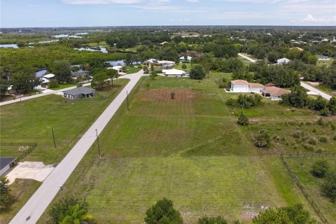 Land in Punta Gorda, Florida № 2214192 - photo 8