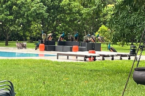 House in Homestead, Florida 6 bedrooms, 371.05 sq.m. № 2009230 - photo 15