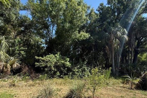 Terrain à Punta Gorda, Floride № 2108702