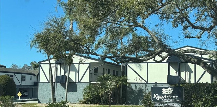 Condominio en Dunedin, Florida, 2 dormitorios № 2104997