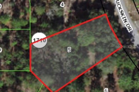Land in Citrus Springs, Florida № 2224108