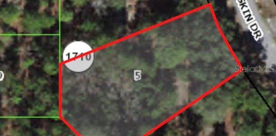 Land in Citrus Springs, Florida № 2224108