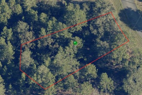 Land in Citrus Springs, Florida № 2224108 - photo 2