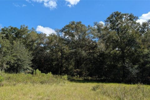 Land in High Springs, Florida № 2393678 - photo 3