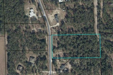 Land in High Springs, Florida № 2393678 - photo 2