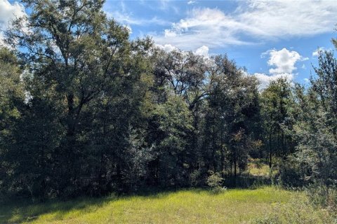 Land in High Springs, Florida № 2393678 - photo 4