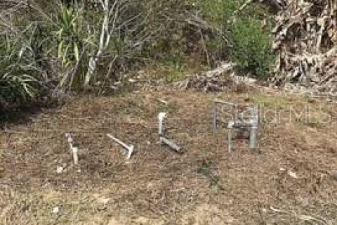 Terreno en venta en Haines City, Florida № 2212462 - foto 3