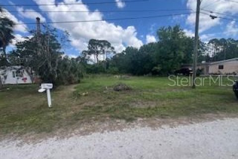 Terreno en venta en Haines City, Florida № 2212462 - foto 2