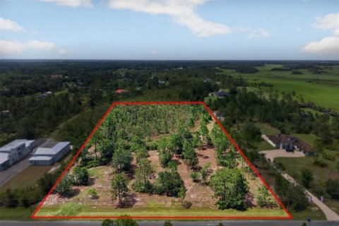 Land in Orlando, Florida № 2202418
