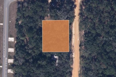 Land in Interlachen, Florida № 2224041 - photo 2