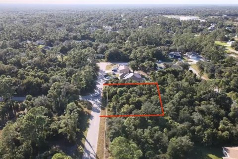 Land in North Port, Florida № 2161628 - photo 6