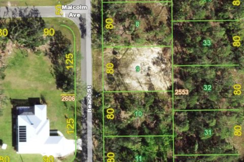 Land in Port Charlotte, Florida № 2164553