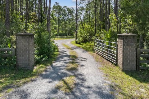 Villa ou maison à vendre à Mims, Floride: 4 chambres, 238.39 m2 № 1827220 - photo 3