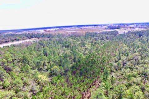 Land in Orlando, Florida № 1724163 - photo 3