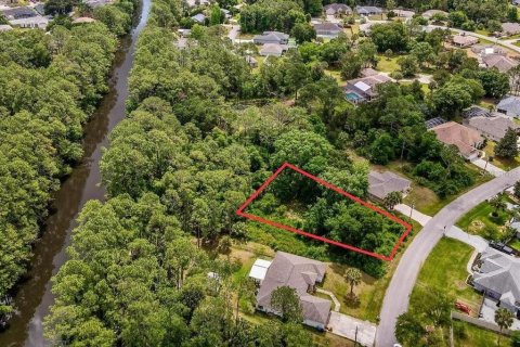 Terreno en venta en Palm Coast, Florida № 1643353 - foto 1