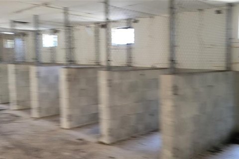 Propiedad comercial en alquiler en Bradenton, Florida № 1283793 - foto 14